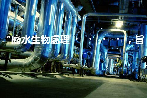 “廢水生物處理，旨在凈化水源，守護(hù)碧水藍(lán)天”